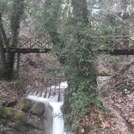Sokaki *